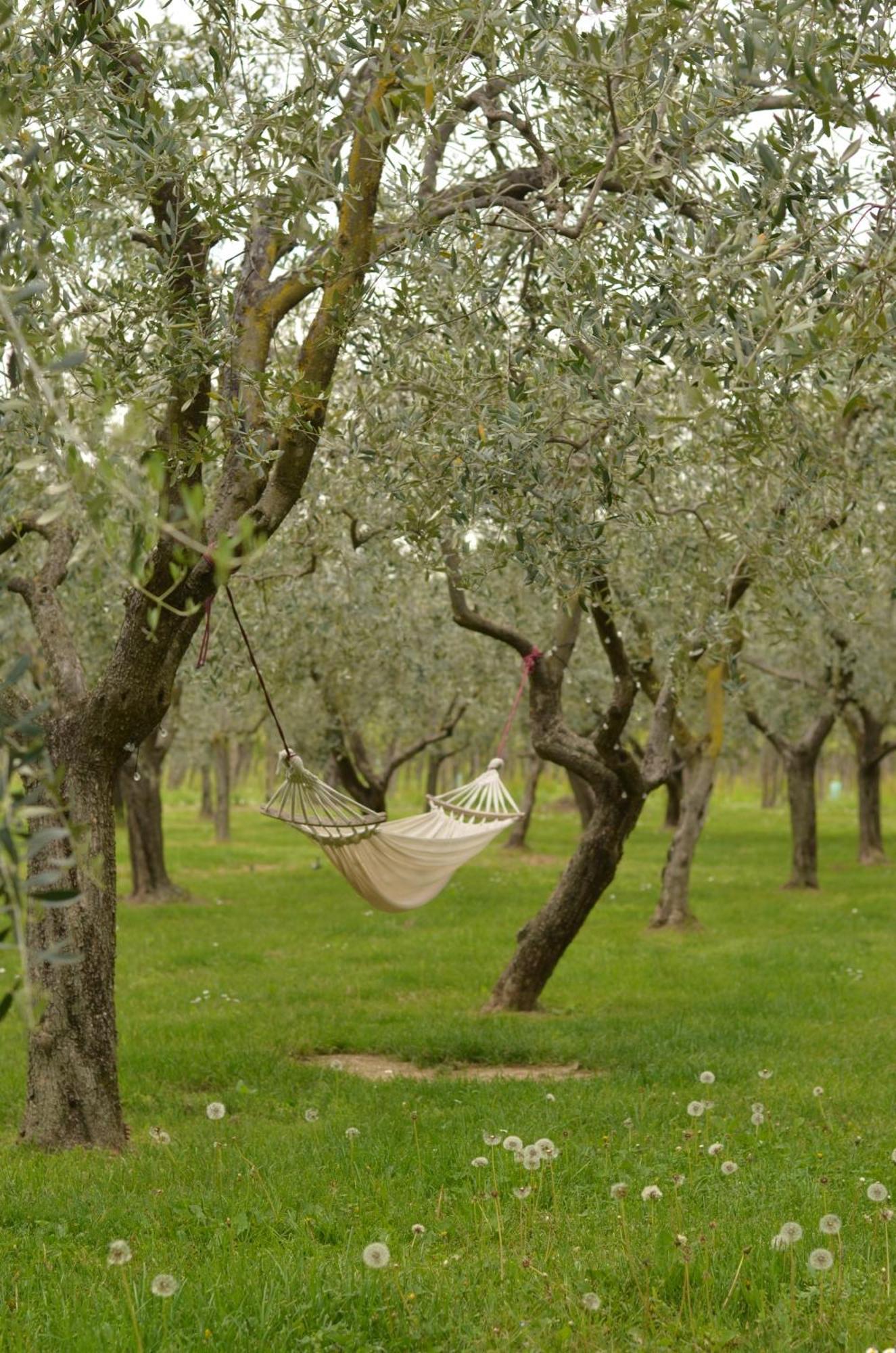 B&B La Cipressina Cavaion Veronese Luaran gambar